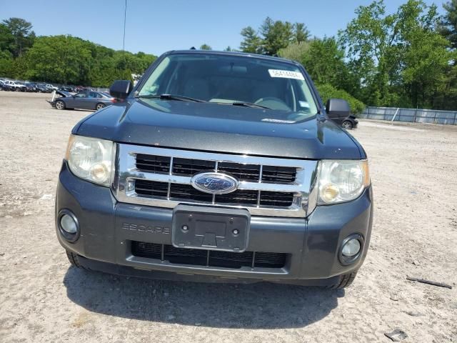 2008 Ford Escape XLT