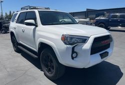 Toyota salvage cars for sale: 2019 Toyota 4runner SR5