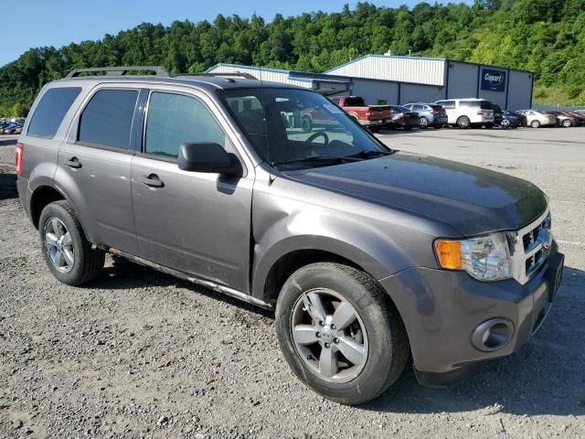 2009 Ford Escape XLT