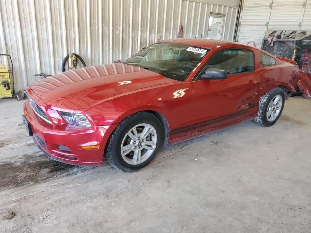 2013 Ford Mustang