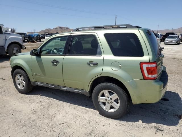 2010 Ford Escape Hybrid