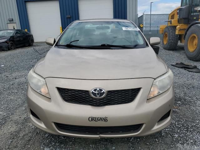 2010 Toyota Corolla Base