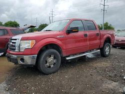 Salvage cars for sale from Copart Columbus, OH: 2010 Ford F150 Supercrew