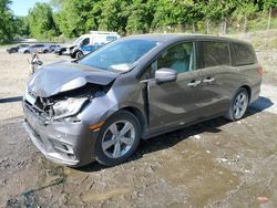 Honda salvage cars for sale: 2019 Honda Odyssey EXL