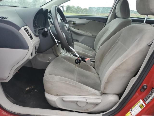 2011 Toyota Corolla Base