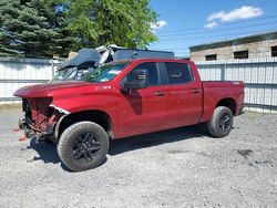 2022 Chevrolet Silverado LTD K1500 Trail Boss Custom for sale in Albany, NY