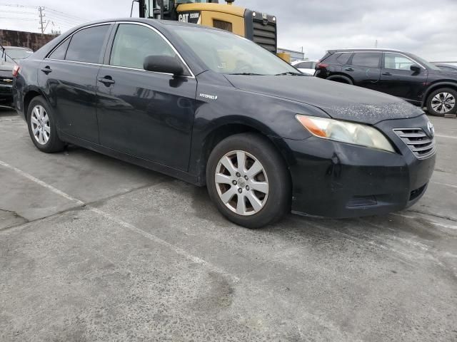 2008 Toyota Camry Hybrid