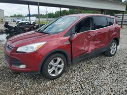 2014 Ford Escape SE for sale in Memphis, TN
