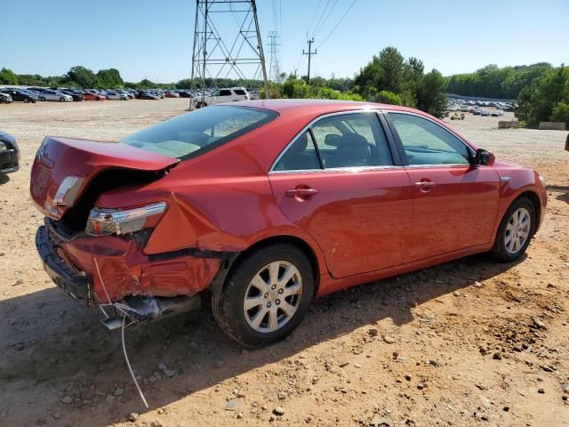 2009 Toyota Camry Hybrid