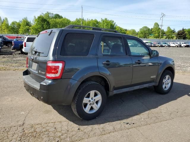 2008 Ford Escape HEV