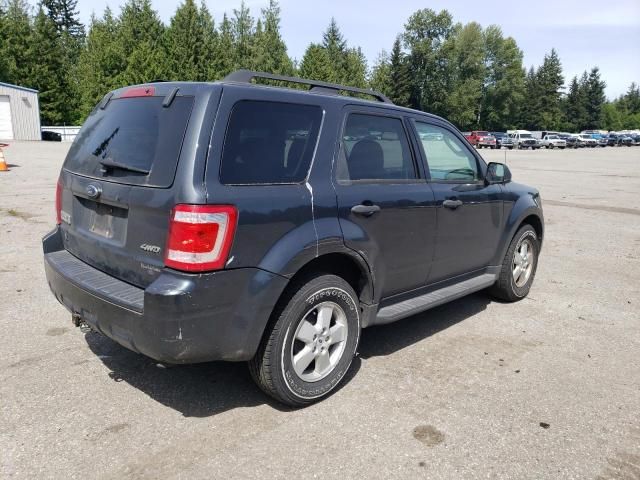 2009 Ford Escape XLT