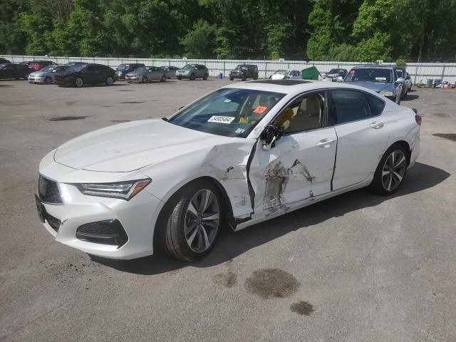 2021 Acura TLX Advance