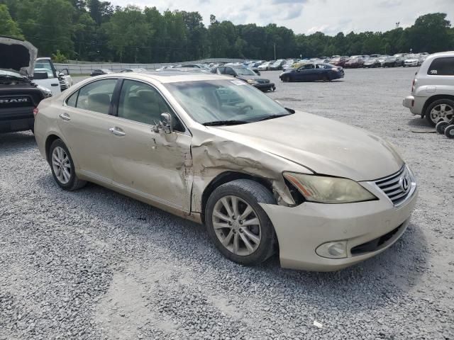 2010 Lexus ES 350