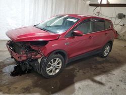 Ford Escape se Vehiculos salvage en venta: 2019 Ford Escape SE