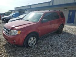 Ford Escape salvage cars for sale: 2011 Ford Escape XLT