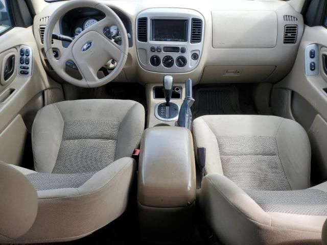 2007 Ford Escape XLT