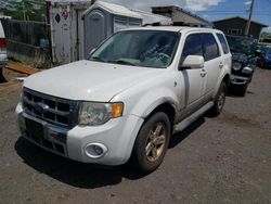 2008 Ford Escape HEV for sale in Kapolei, HI
