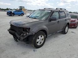 Ford Escape salvage cars for sale: 2011 Ford Escape XLT