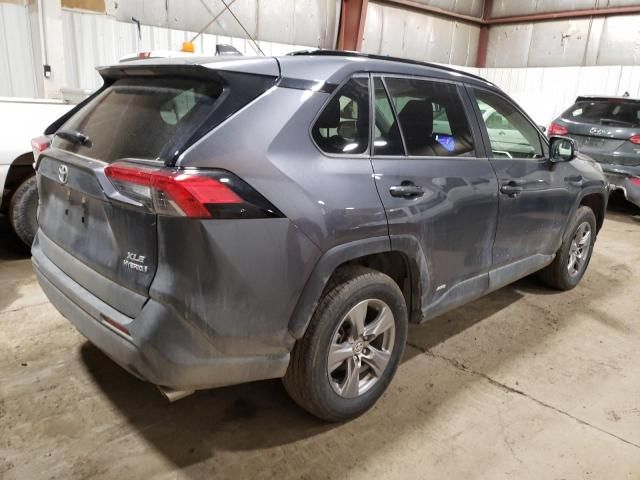 2023 Toyota Rav4 XLE