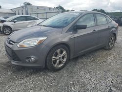 Ford Focus Vehiculos salvage en venta: 2012 Ford Focus SE