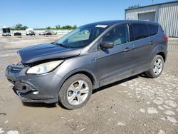 2014 Ford Escape SE for sale in Kansas City, KS