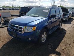 2008 Ford Escape XLT for sale in Elgin, IL