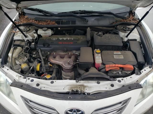 2009 Toyota Camry Hybrid