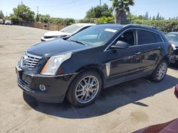 Cadillac salvage cars for sale: 2013 Cadillac SRX Premium Collection