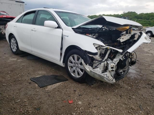 2009 Toyota Camry Hybrid