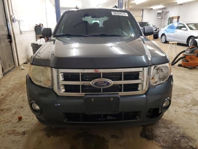 2008 Ford Escape XLT