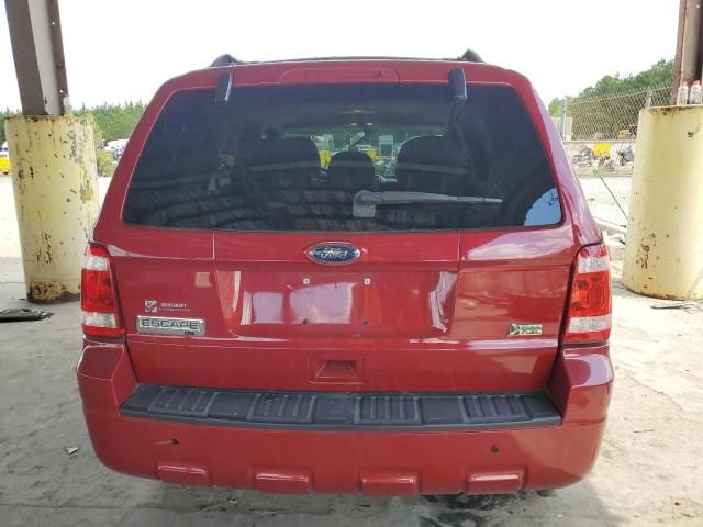 2011 Ford Escape XLT