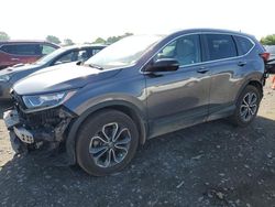 2020 Honda CR-V EX en venta en Hillsborough, NJ