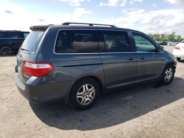 2005 Honda Odyssey EXL