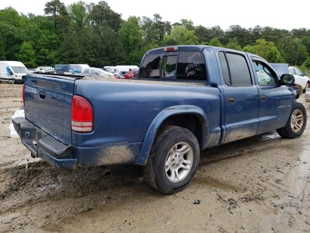 2002 Dodge Dakota Quad Sport