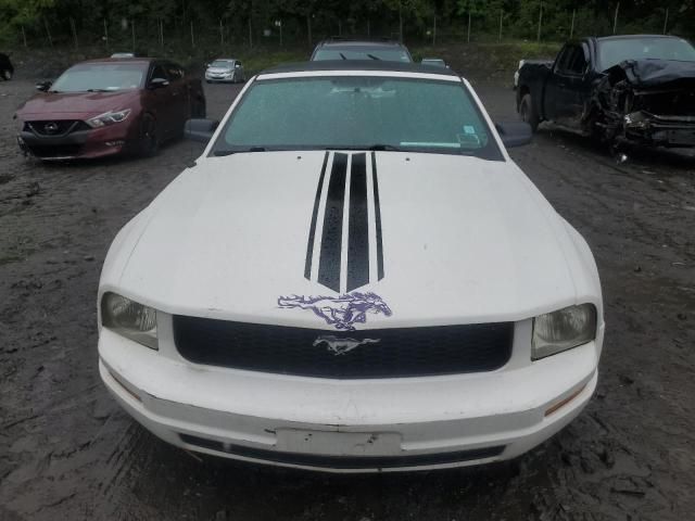 2006 Ford Mustang