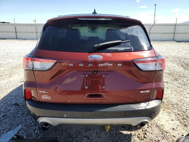 2021 Ford Escape SEL