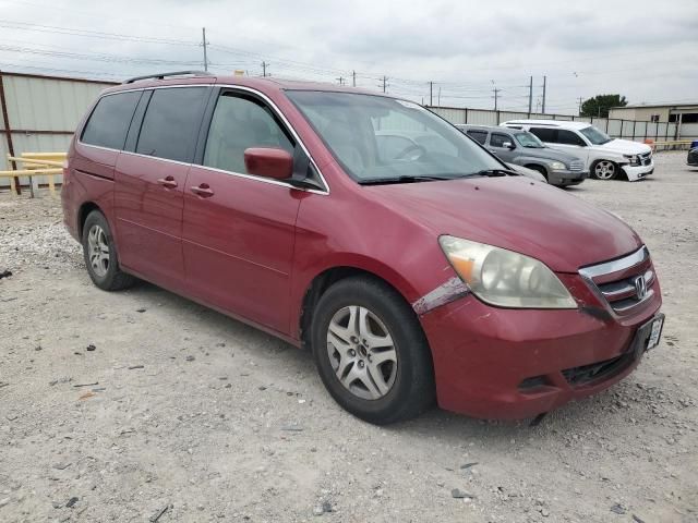 2005 Honda Odyssey EXL