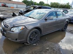 Chevrolet salvage cars for sale: 2010 Chevrolet Malibu 1LT