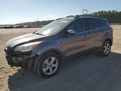 Salvage cars for sale from Copart Greenwell Springs, LA: 2014 Ford Escape SE