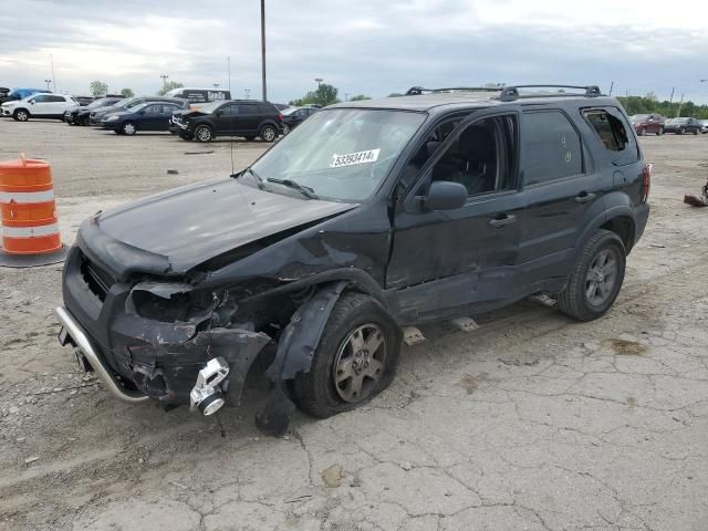 2005 Ford Escape XLT