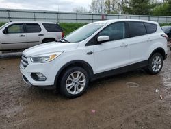 2017 Ford Escape SE for sale in Davison, MI