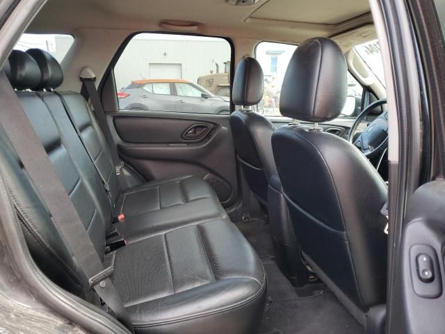 2005 Ford Escape Limited