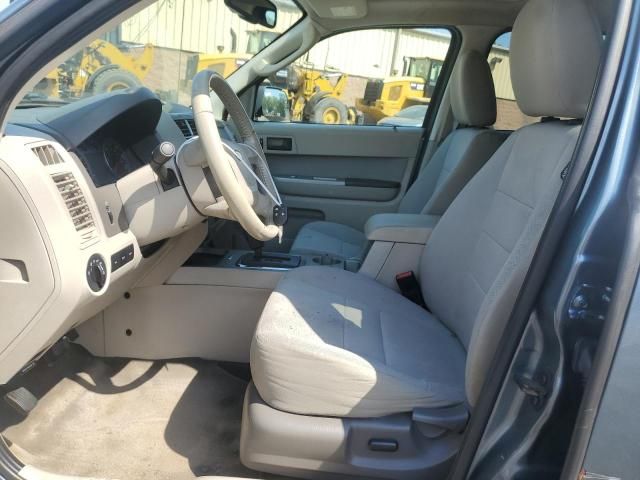 2011 Ford Escape XLT