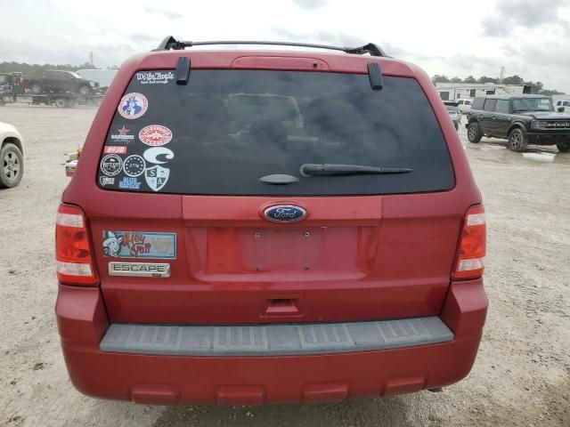 2011 Ford Escape XLT