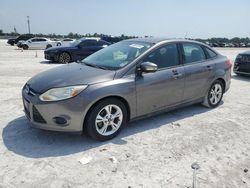 Salvage cars for sale from Copart Arcadia, FL: 2013 Ford Focus SE