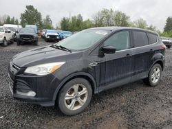 Vehiculos salvage en venta de Copart Portland, OR: 2013 Ford Escape SE