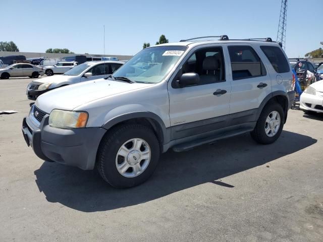 2002 Ford Escape XLT