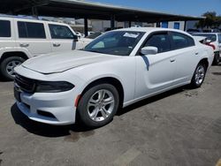 2021 Dodge Charger SXT for sale in Hayward, CA