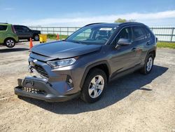 Toyota salvage cars for sale: 2019 Toyota Rav4 XLE