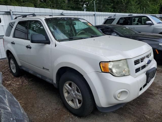 2011 Ford Escape Hybrid